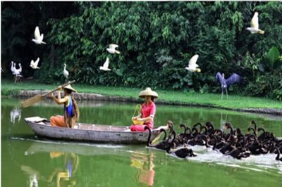 【廣州】長(zhǎng)隆野生動(dòng)物園、珠海海洋王國(guó)、歡樂(lè)世界雙臥6日游