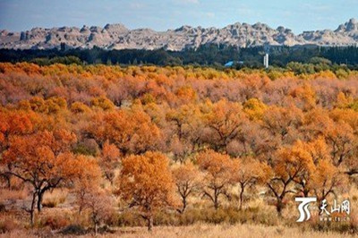 【南北疆】 新疆天山天池、火洲吐魯番、人間凈土喀納斯雙飛8日游