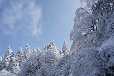 【房縣】武當(dāng)國際滑雪一日游