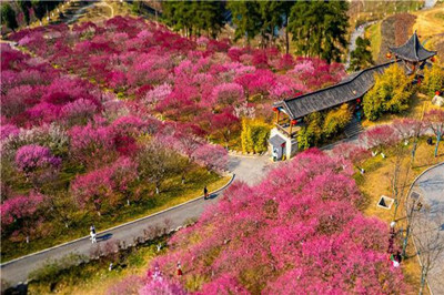 【十堰】秦巴植物園、娃娃魚基地1日游